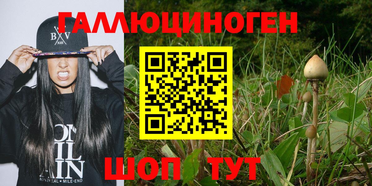 Псилоцибиновые грибы ЛСД Кировск